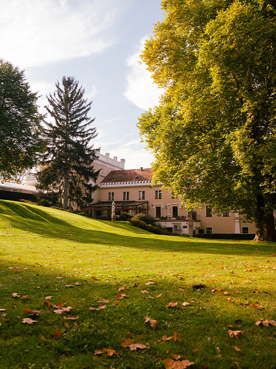 Wellness pobyt Chateau exclusive pro 2 osoby